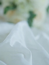 Fausse ou véritable compagne de l'Alpha - Episode 3