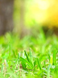 Épisode 48 - UN AMOUR PAR DESTIN