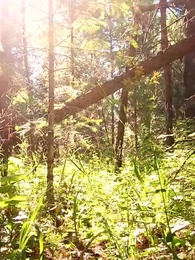 Épisode 43 - UN AMOUR PAR DESTIN