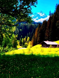 Épisode 26 - UN AMOUR PAR DESTIN