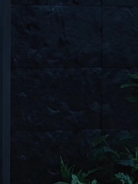 Episódio 56 - Vingança do Meu Ex-Marido