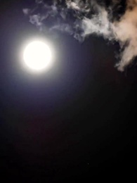 Épisode 53 - UN AMOUR PAR DESTIN