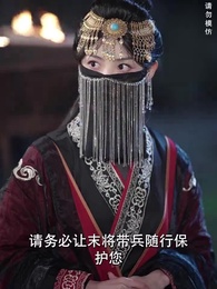 第37集 - 君心似劍負相思