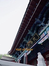 Father of the Prodigy - Episode 11