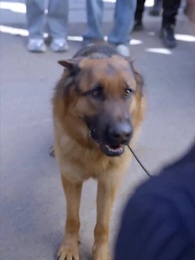 第13集 - 不屈守護