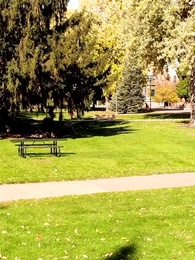 Épisode 46 - UN AMOUR PAR DESTIN