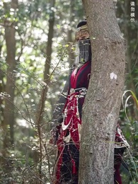 第41集 - 君心似劍負相思