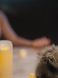 La Luna Destinata dell'Alfa - Episode 13