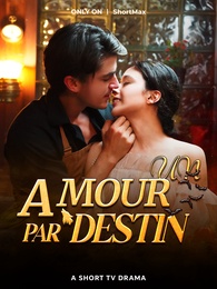 UN AMOUR PAR DESTIN