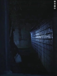 第23集 - 君心似劍負相思