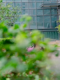 第51集 - 幡然悔悟後，我獨寵親生兒子