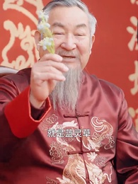 第45集 - 庭上暖陽