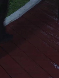 第51集 - 形婚錯愛