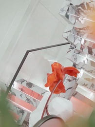 第49集 - 他偏要