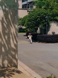 第49集 - 八零萌娃小倒爺