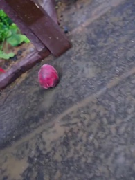 [พากย์ไทย]ใต้หล้างามเลิศ/เกินสวรรค์เก้าชั้นฟ้า - Episode 41