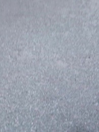 第49集 - 嬌寵難逃