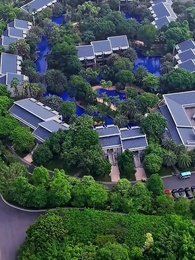 第42集 - 庭上暖陽