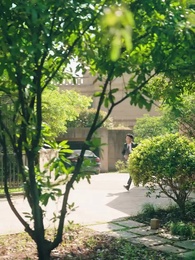 第42集 - 八零萌娃小倒爺