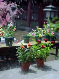 清宮辭 - Episode 50