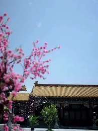 第74集 - 清宮辭