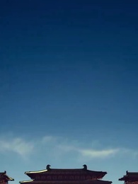 第39集 - 犬父定乾坤