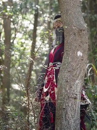 Episode 41 - Throne of Shadows