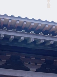 転生医妃～権勢の夫に別れを告げる - Episode 63