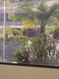 第65話 - 運命の再会と愛の偽装結婚