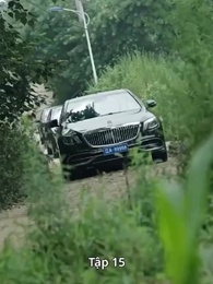 Tập 15 - [Lồng tiếng]Sếp Tổng Tô Mai, Vượt Ngàn Chông Gai