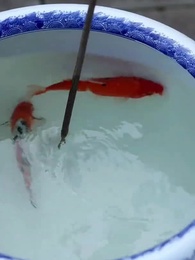 第45集 - 清宮辭