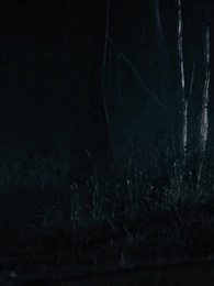 Episodio 1 - Cayendo por su Guardaespaldas