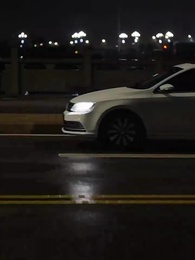 第21集 - 她帶崽離開後，厲總追瘋了