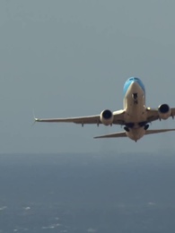 Épisode 44 - Oncle, Je T'aime