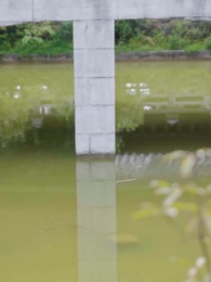 第85集 - 誤闖女兒國