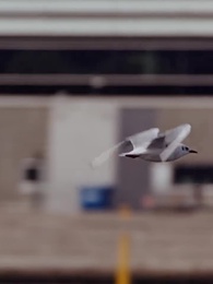 Oncle, Je T'aime - Episode 32