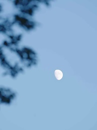 誤闖女兒國 - Episode 82