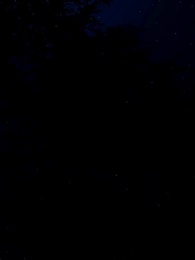 Episode 48 - Mein Schicksal mit dem Alpha