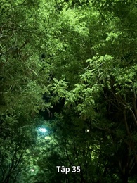 Tập 35 - Tình Yêu Ơi, Em Phải Kết Hôn Rồi