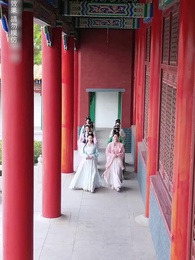 猶爲離人照落花 - Episode 5