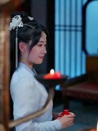 第9集 - 神醫毒妃