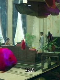 第74集 - 皇上駕到