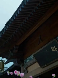 神醫毒妃 - Episode 88