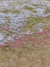 48화 - 화양연화: 첫 만남