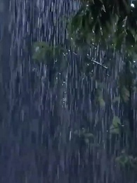 24화 - [더빙 버전]엇갈린 사랑