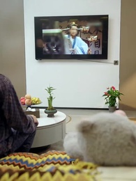 皇上駕到 - Episode 3