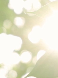 화양연화: 첫 만남 - Episode 54