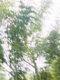 ตอนที่ 71 - นงพญาซ่อนลม