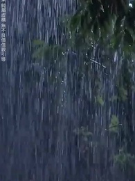 第24集 - 爱你不逢時