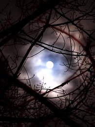 Episodio 52 - Un amore per destino